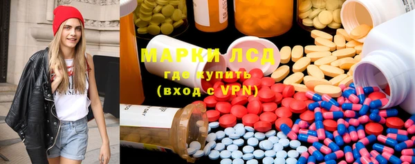 прущие грибы Покров