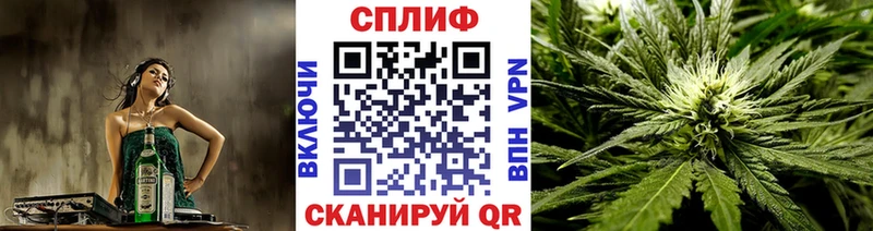 Конопля планчик Кола